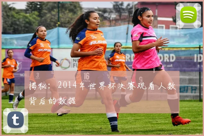 揭秘：2014年世界杯决赛观看人数背后的数据