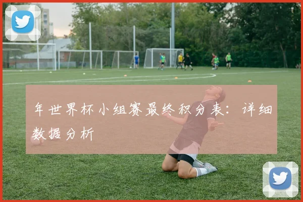年世界杯小组赛最终积分表：详细数据分析
