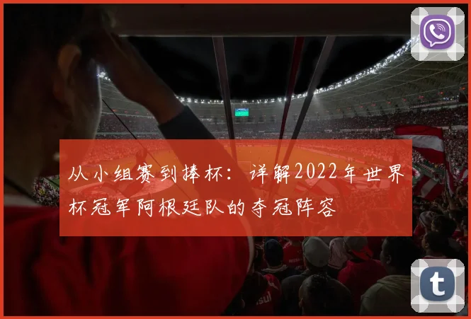 从小组赛到捧杯：详解2022年世界杯冠军阿根廷队的夺冠阵容