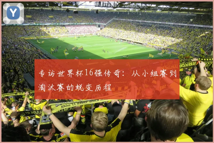 专访世界杯16强传奇：从小组赛到淘汰赛的蜕变历程